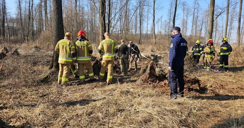 У Польщі, в Люблінському воєводстві, було знайдено залишки 