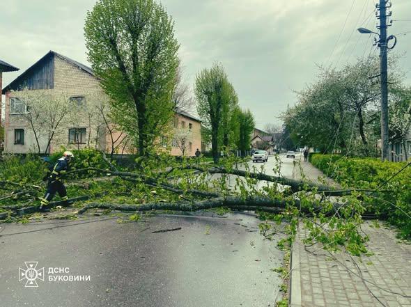 Стихійні лиха в Буковині: рятувальні служби працюють над подоланням наслідків негоди.