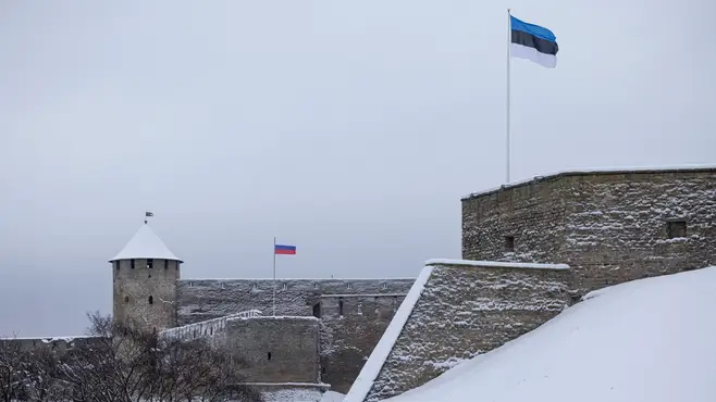 Естонія і далі реєструє випадки порушення санкцій проти Росії, незважаючи на посилення митного контролю на кордоні з цією країною.