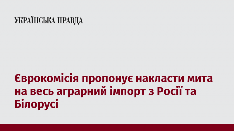 Європейська комісія планує ввести мита на всі аграрні товари, що імпортуються з Росії та Білорусі.