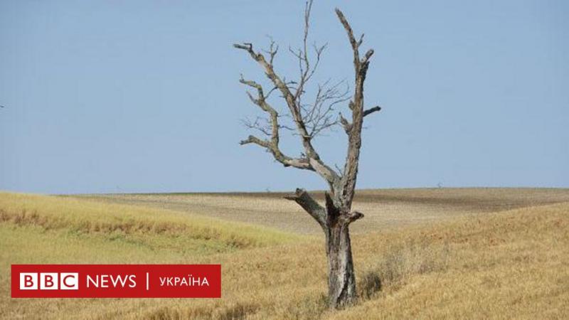Посуха в Україні перетворюється на серйозну проблему. Які прогнози на літо - BBC News Україна.