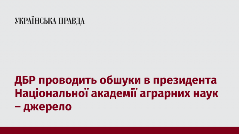 Державне бюро розслідувань здійснює обшуки у президента Національної академії аграрних наук, згідно з інформацією з джерел.