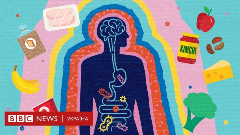 Які продукти вживати, а від яких краще відмовитися, щоб підтримувати здоров'я шлунка - BBC News Україна