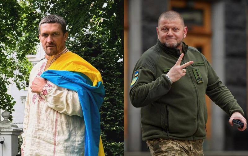 Залужний висловив свої вітання Усикові з нагоди його перемоги: 