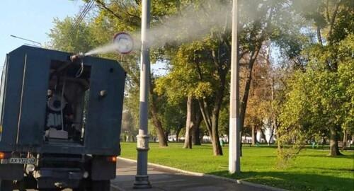 У Харкові 28-29 липня планується обробка дерев у парках з метою захисту від шкідливих комах.