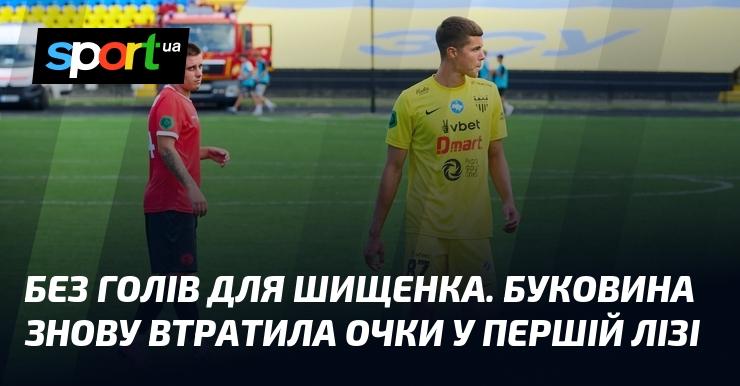 Без забитих м'ячів для Шищенка. Буковина знову не змогла здобути очки у Першій лізі.