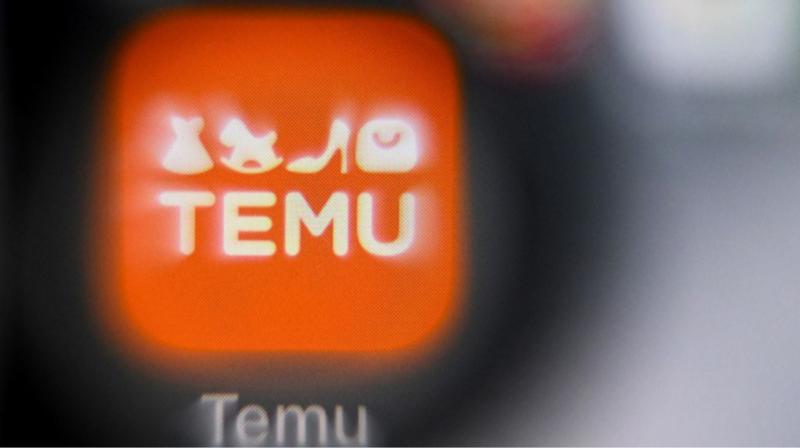 Прибуток Temu в Європейському Союзі зріс на 171% при наявності лише 8 співробітників.