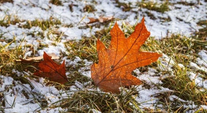 Зима знову дасть про себе знати: метеорологи прогнозують снігопади та холоди в Україні.