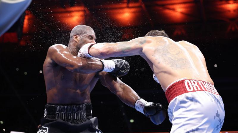 Дюбуа має можливість зустрітися в рингу з відомим кубинським боксером.