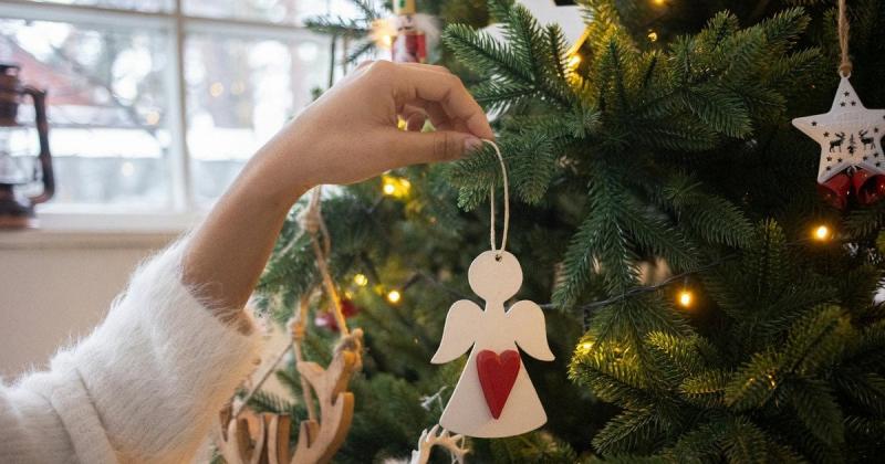 Різдвяна ялинка має здатність 