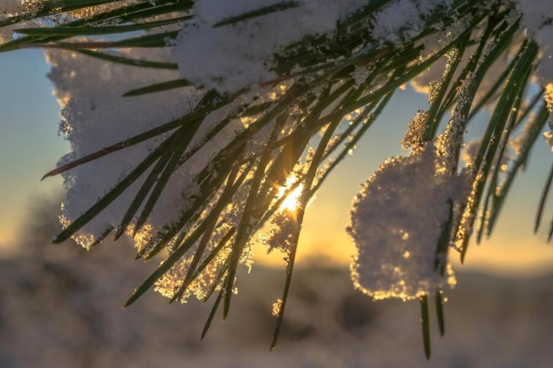 Генеральний директор Центру громадського здоров'я розповідає, як захиститися від переохолодження.