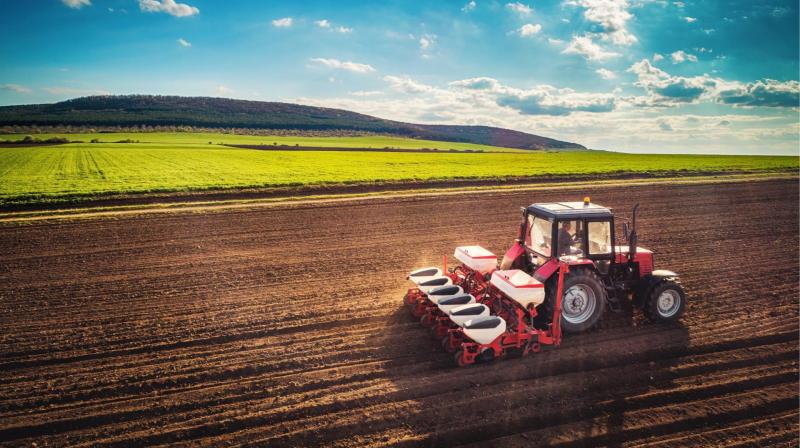 У парламенті повідомили про те, як буде розподілено державну підтримку для аграрного сектору.