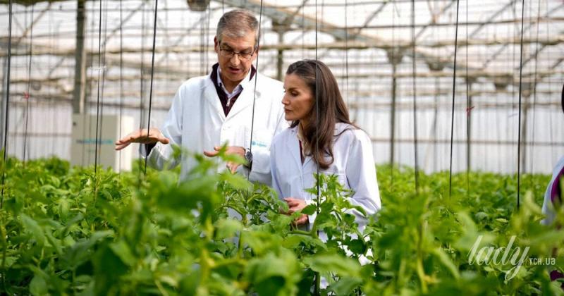 Королева Летиція вразила всіх, з'явившись у яскравому червоному костюмі від бренду Boss під час свого візиту до експериментальної станції.