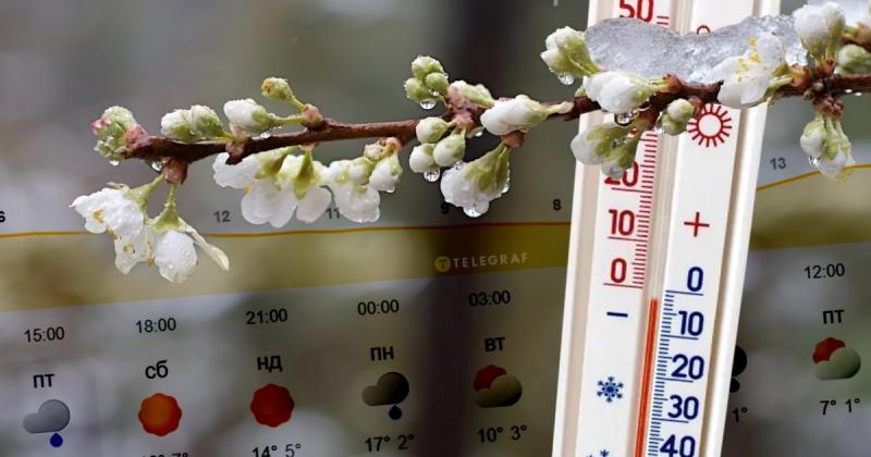 Після незвично теплої погоди очікується арктичне вторгнення: метеоролог зазначив, що існує ризик заморозків під час цвітіння абрикосів.