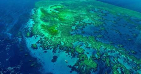 Світовий океан швидко втрачає свою яскравість: науковці б’ють на сполох через можливу глобальну катастрофу для планети.