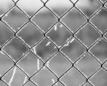 Жителів Одещини попередили про загрозу: очікуються інтенсивні заморозки.