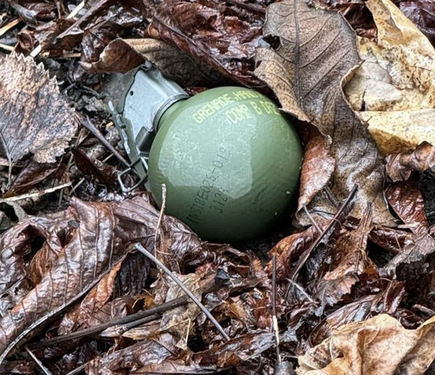 Під час прибирання в Протасовому Яру, за повідомленнями, знайшли гранату американського виробництва.