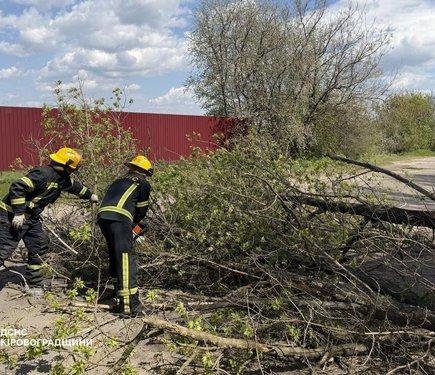 Шторм спіткав країну: внаслідок негоди загинули люди, 13 регіонів зазнали ушкоджень.