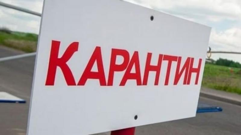 У районі Харкова домашня собака загинула від сказу, що призвело до введення карантинних заходів.