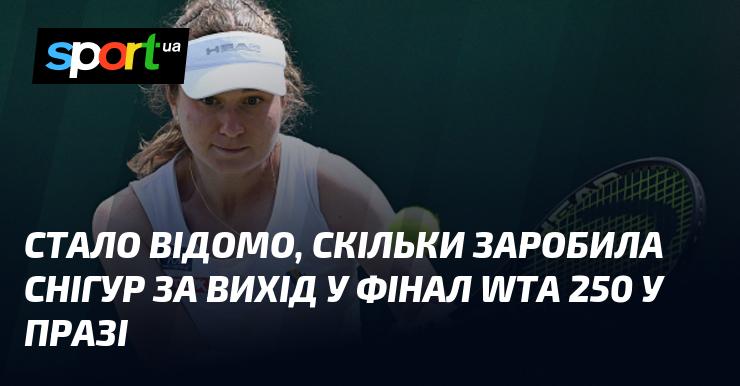 Стало відомо, який прибуток отримала Снігур за вихід до фіналу WTA 250, що проходив у Празі.
