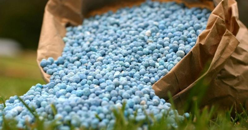 Український ринок добрив потрапив у фазу значного зростання цін та нестачі продукції.