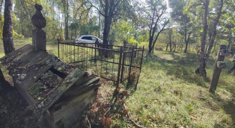 На цвинтарях поблизу Чорнобиля можна побачити дерева з стовбурами завтовшки до 5 метрів.